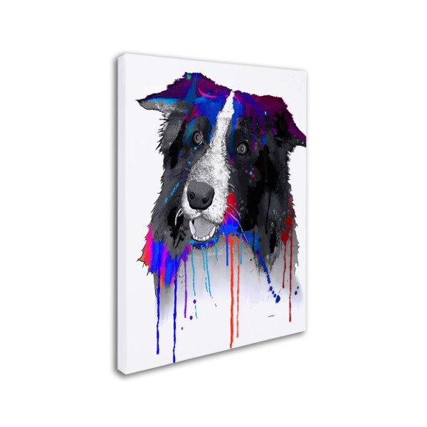 Marlene Watson 'Border Collie' Canvas Art,24x32